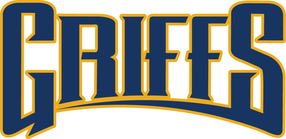 Canisius Golden Griffins 2006-Pres Wordmark Logo v2 iron on transfers for clothing